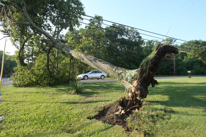 Storm damage